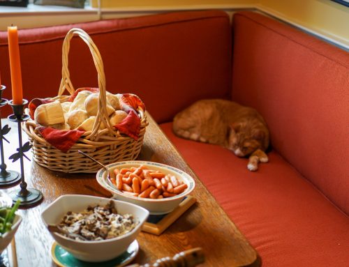 Keeping Your Pets Happy and Healthy This Thanksgiving: Tips from Cedar Creek Pet Hospital